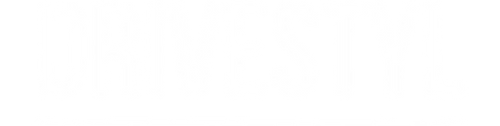Drivestyl.fr logo